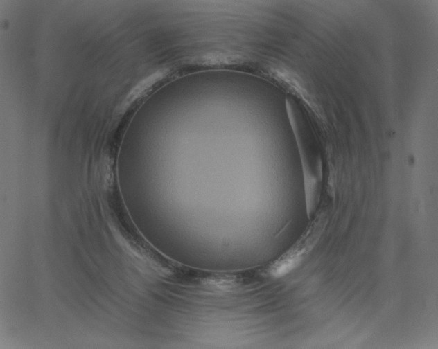 X0000067850164200604271654