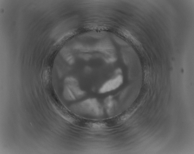 X0000067850165200604271654