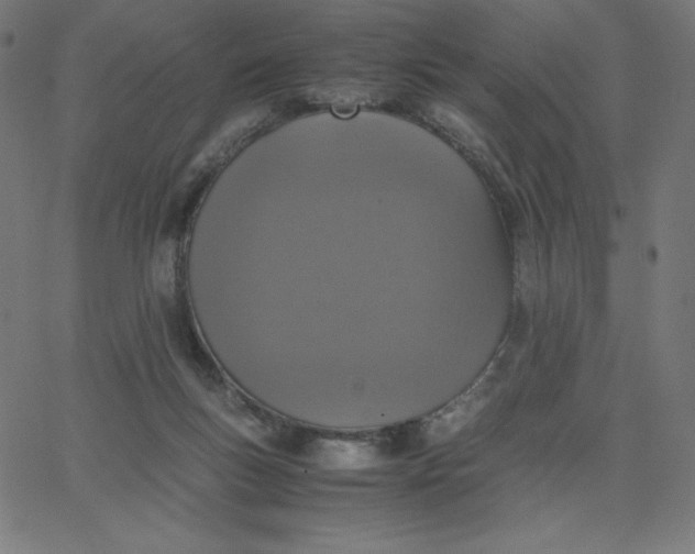 X0000067850167200604271654