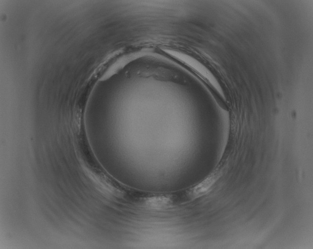 X0000067850168200604271654