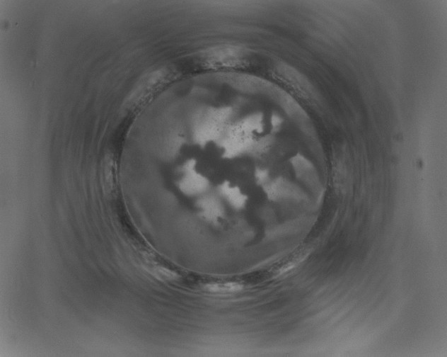 X0000067850169200604271654