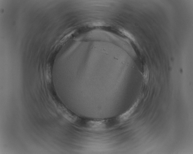 X0000067850170200604271654