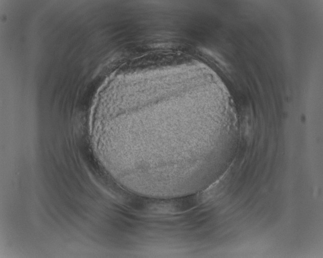 X0000067850171200604271654