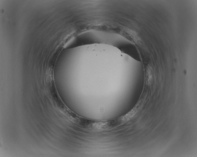 X0000067850172200604271654