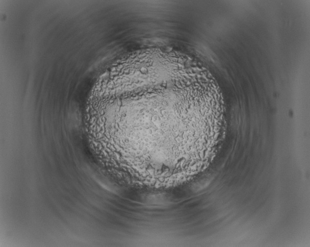 X0000067850173200604271654