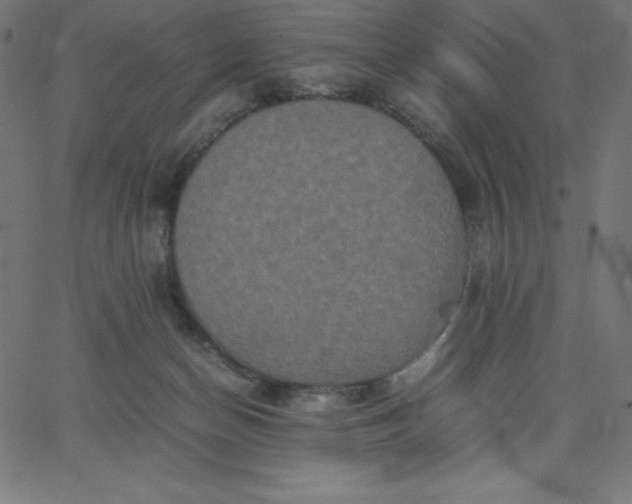 X0000067850174200604271654