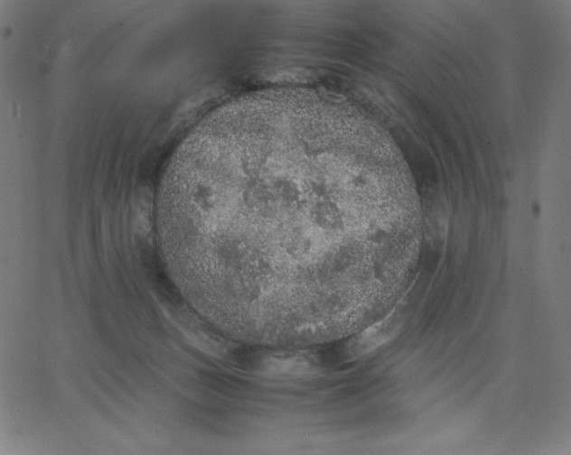 X0000067850175200604271654