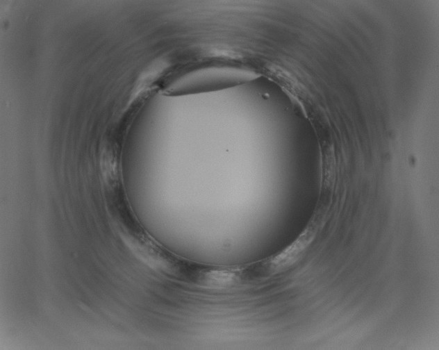 X0000067850176200604271654