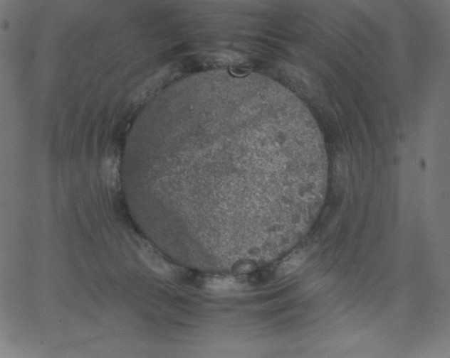 X0000067850177200604271654