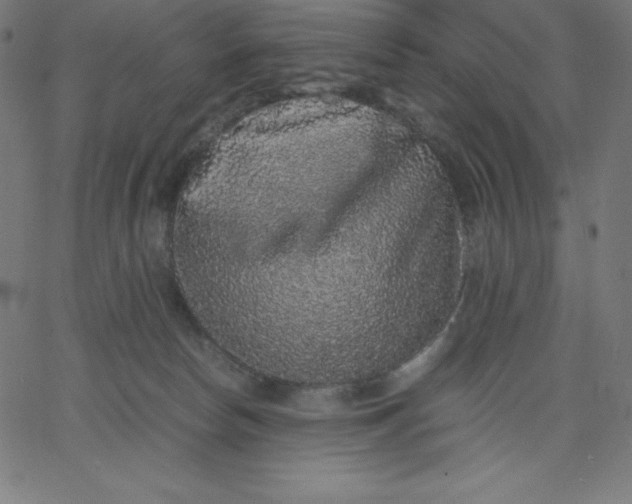 X0000067850178200604271654