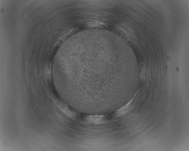 X0000067850179200604271654