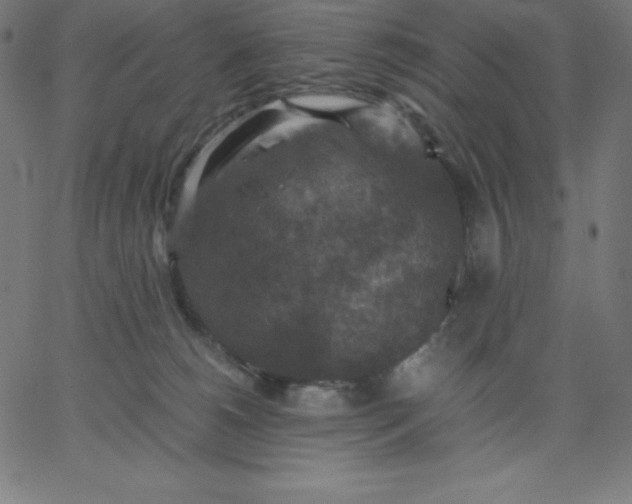 X0000067850180200604271654