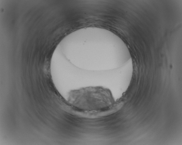 X0000067850181200604271654