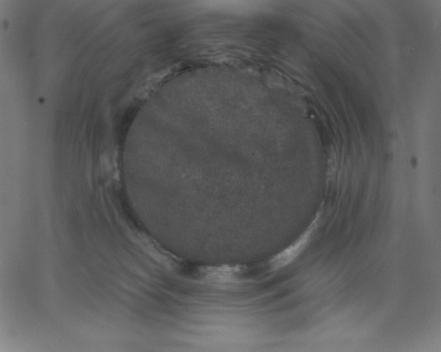 X0000067850182200604271654