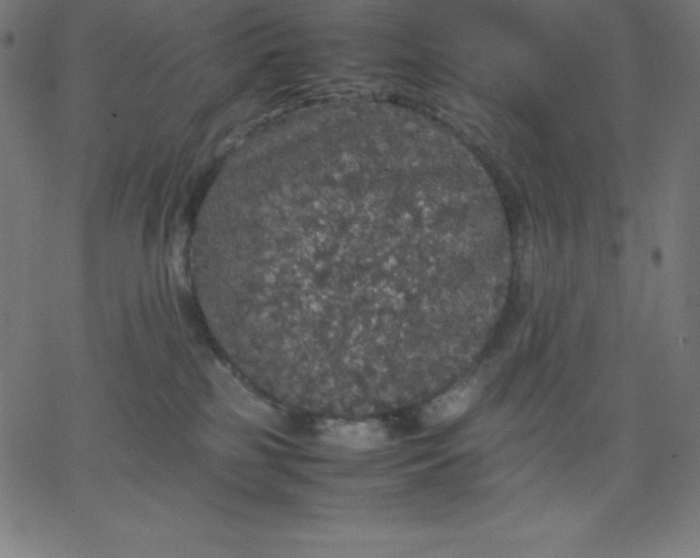 X0000067850185200604271654