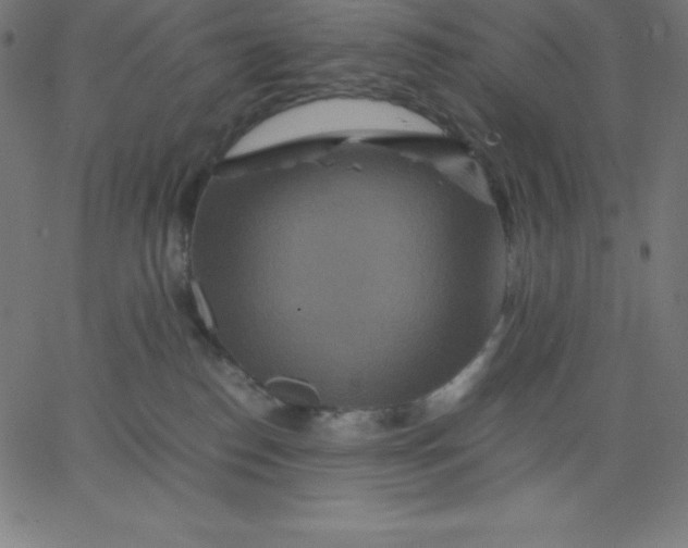 X0000067850186200604271654