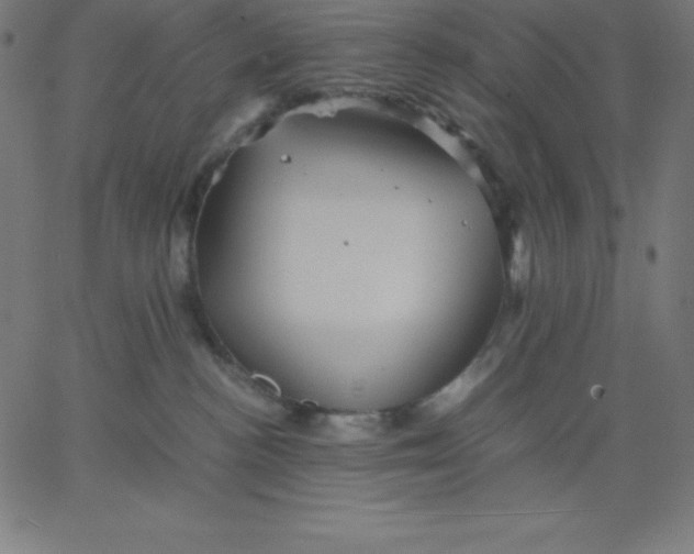 X0000067850188200604271654