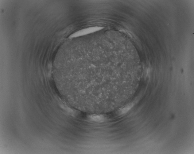 X0000067850189200604271654