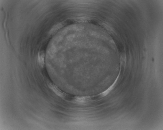 X0000067850190200604271654