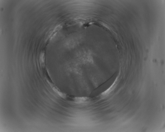 X0000067850192200604271654