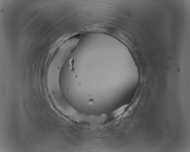 X0000067850193200604271654