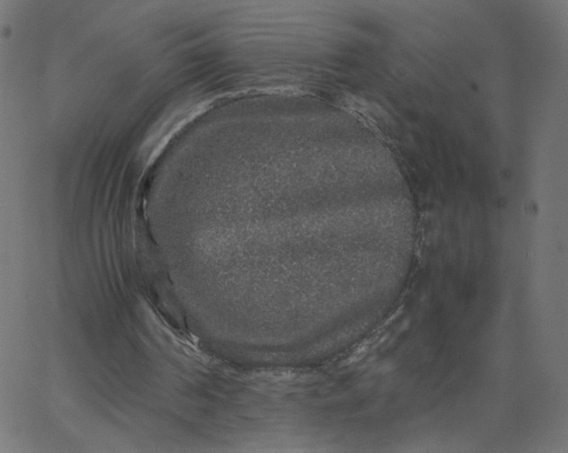 X0000067850194200604271654