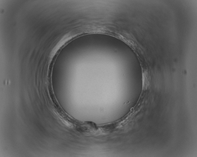 X0000067850195200604271654