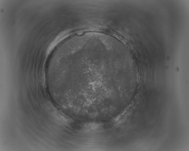 X0000067850198200604271653