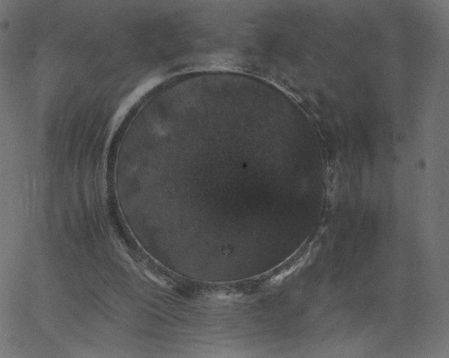 X0000067850200200604271653