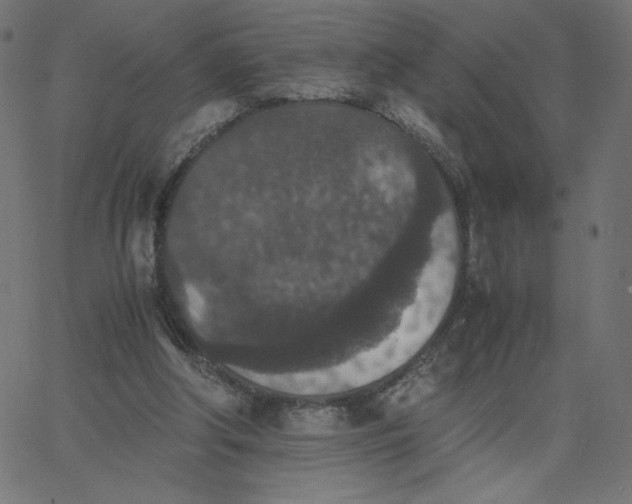 X0000067850202200604271653