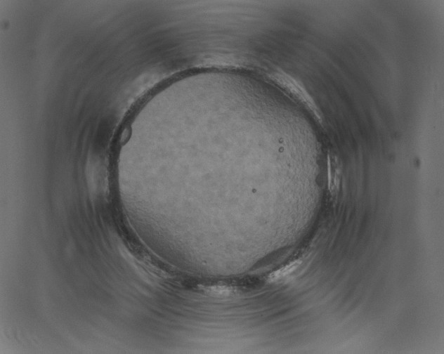 X0000067850204200604271653