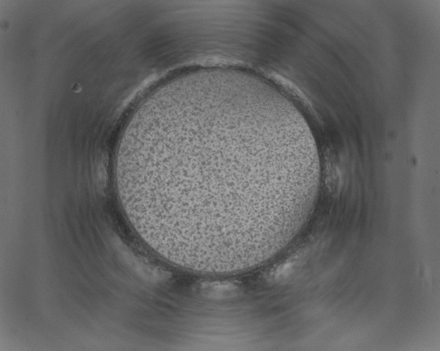 X0000067850208200604271653