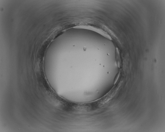 X0000067850209200604271653