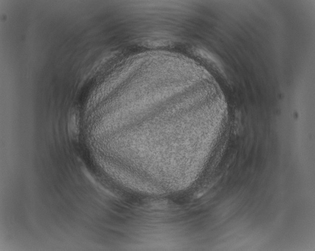 X0000067850210200604271653