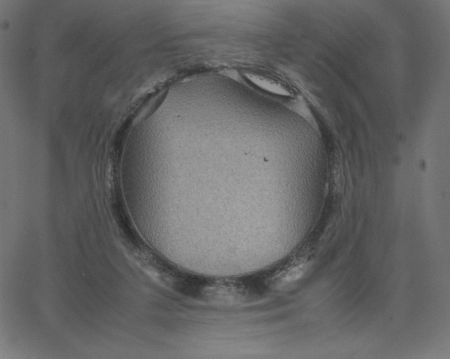 X0000067850211200604271653