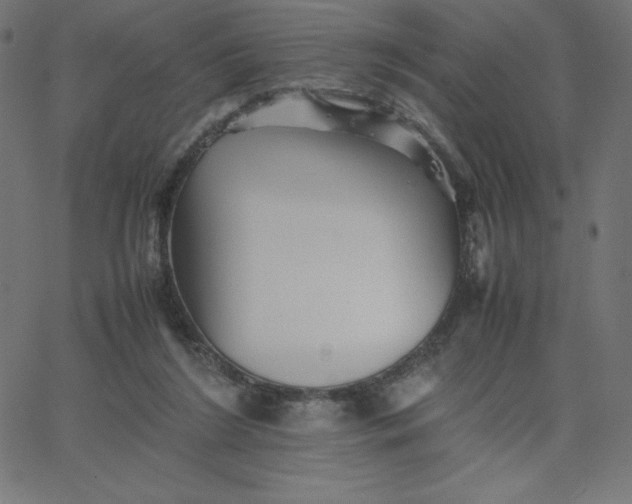 X0000067850212200604271653