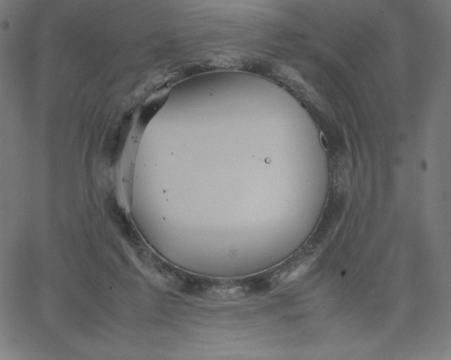 X0000067850213200604271653