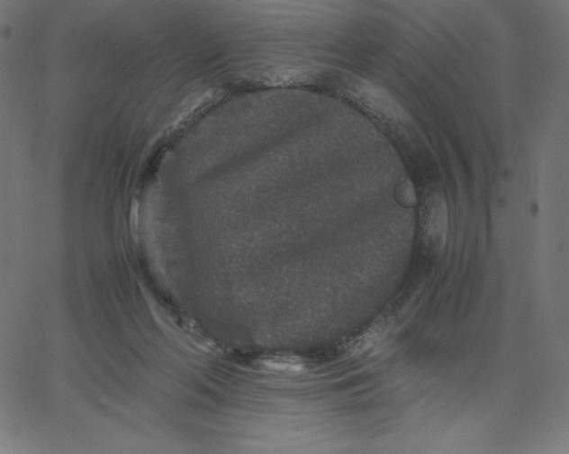 X0000067850214200604271653