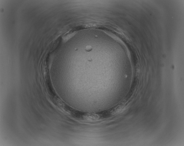 X0000067850215200604271653