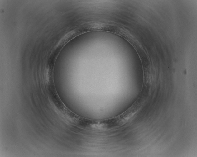 X0000067850216200604271653