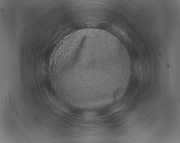 X0000067850218200604271653