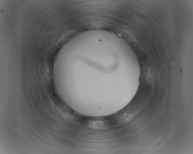 X0000067850220200604271653