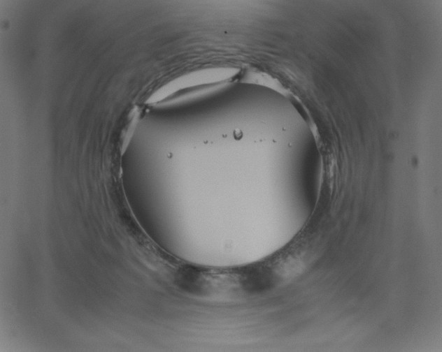 X0000067850221200604271653