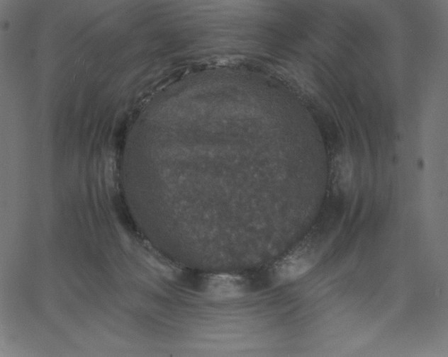 X0000067850222200604271653