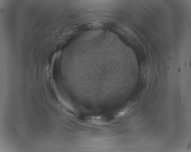 X0000067850223200604271653