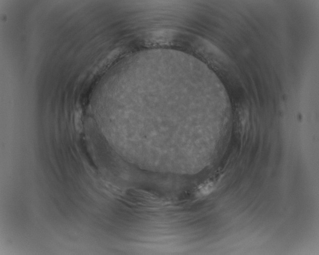 X0000067850224200604271653