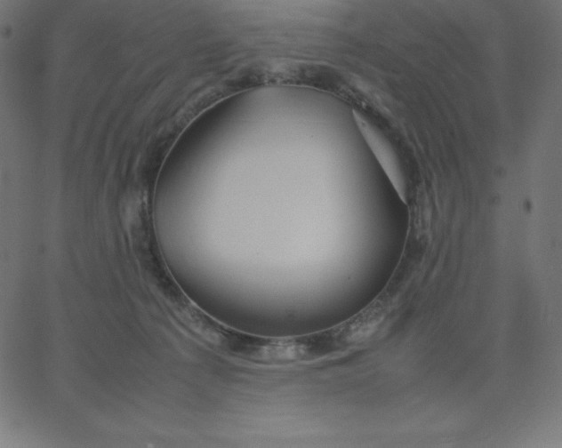 X0000067850225200604271653