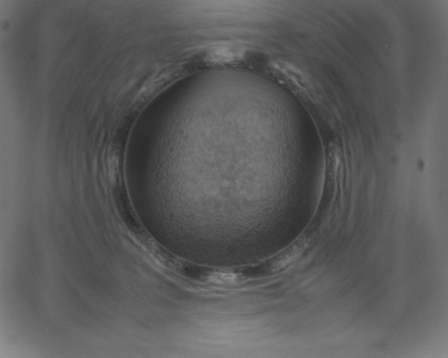 X0000067850227200604271653