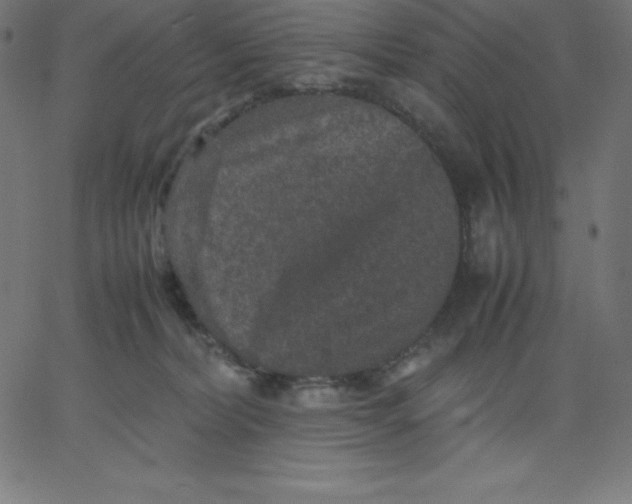 X0000067850228200604271653