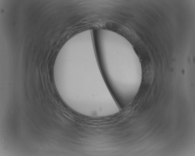 X0000067850229200604271653